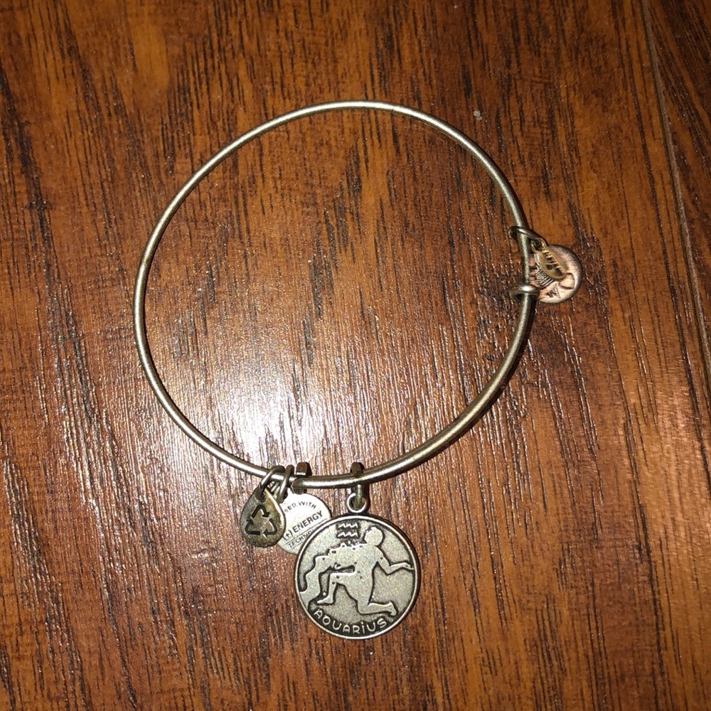 Aquarius Alex and Ani Bracelet